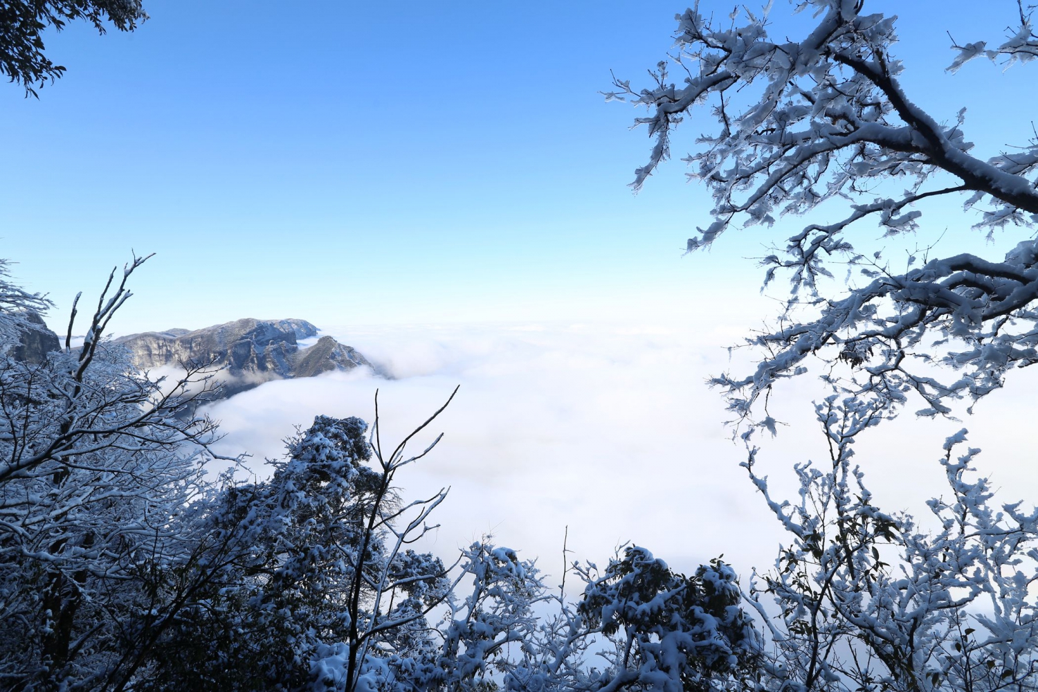 雪兆天界