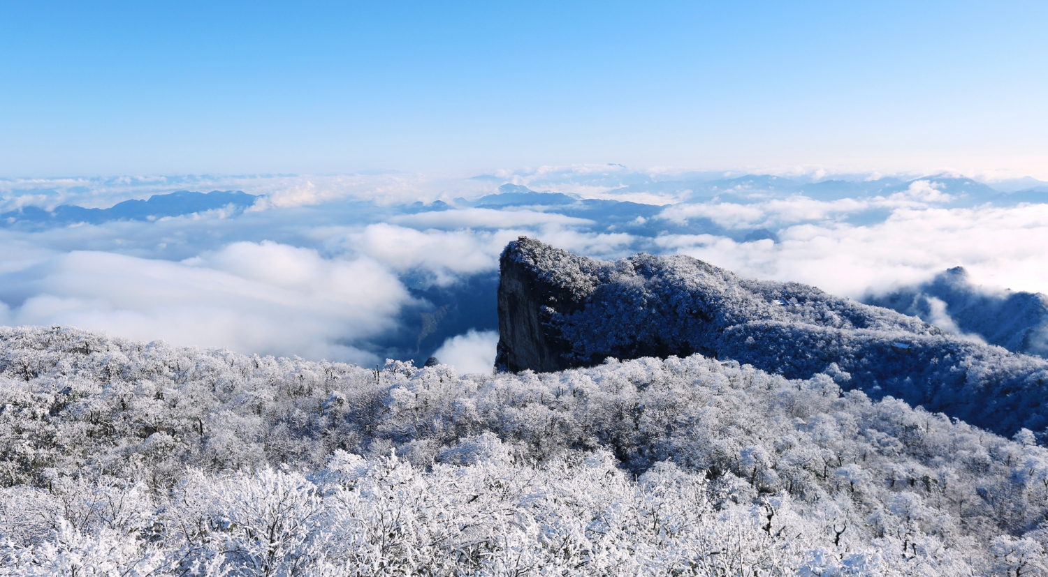 雪韵