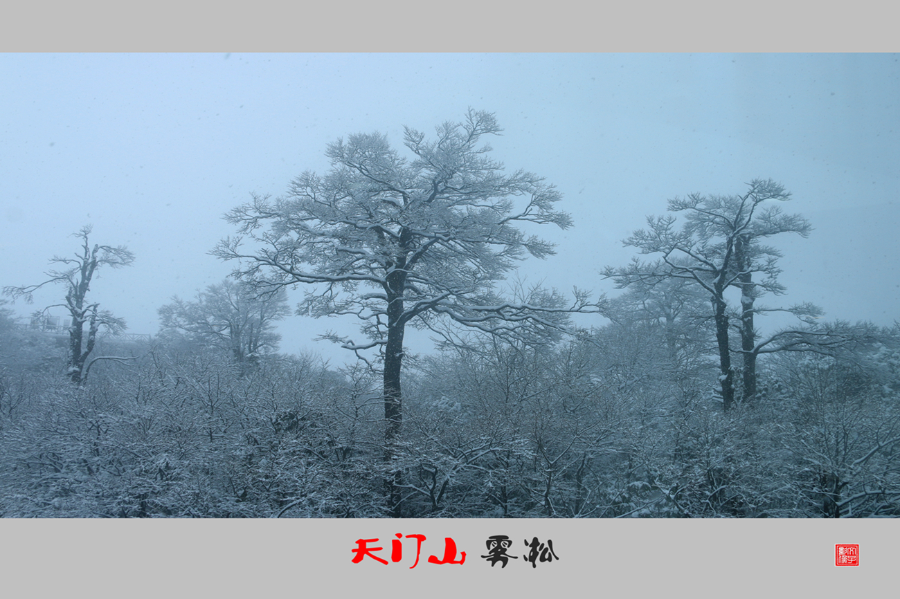 天门山雾凇