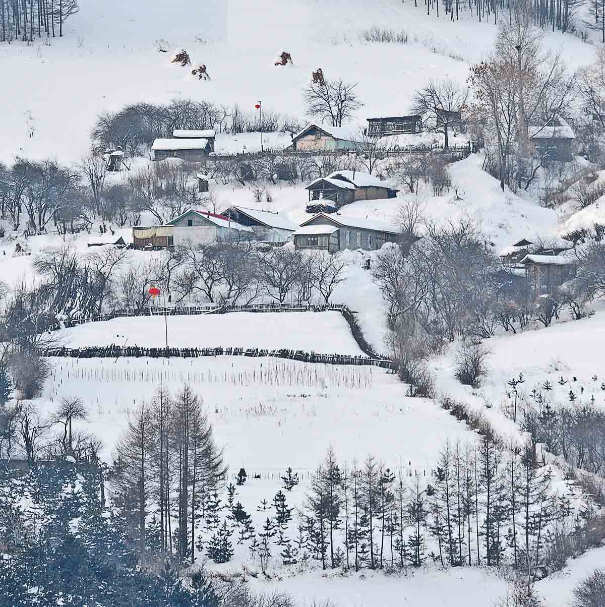 松岭又一冬