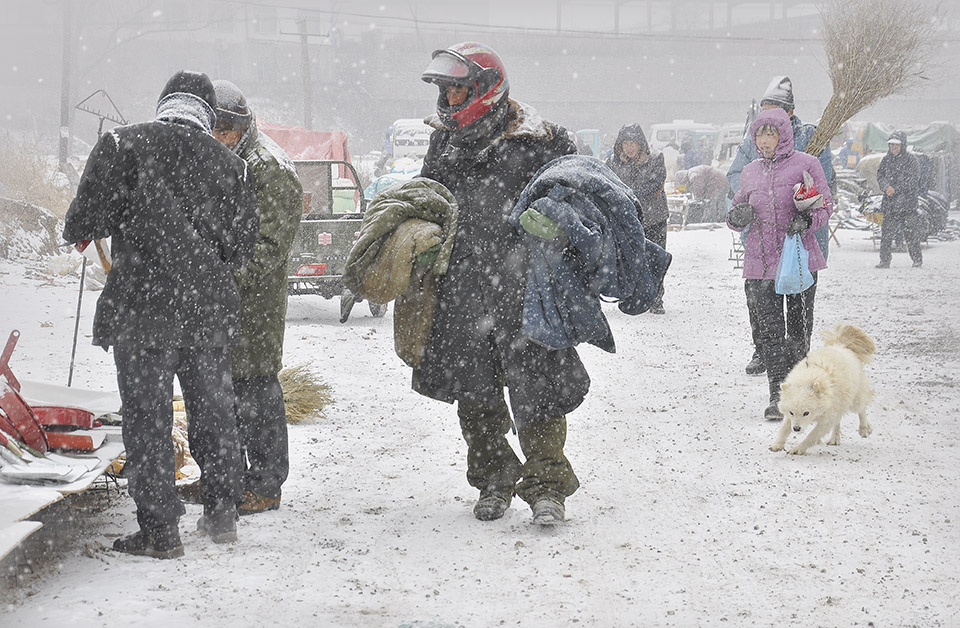 风雪赶集