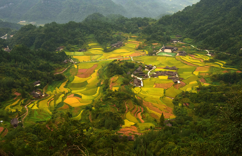 山村秋景