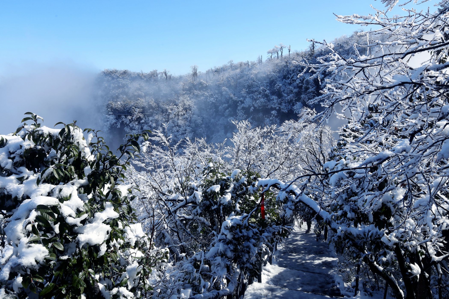 仙山雪海