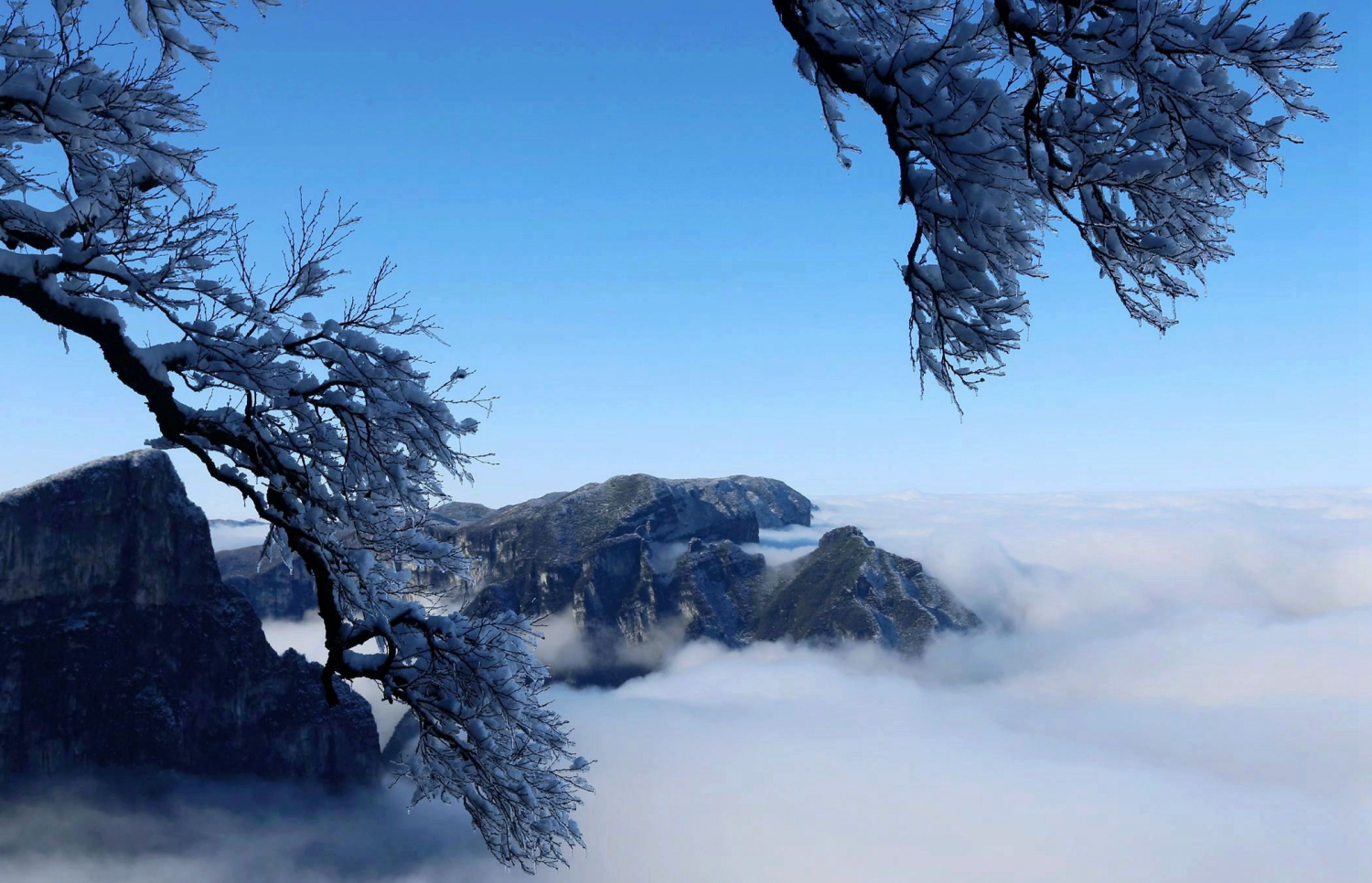 仙山天界