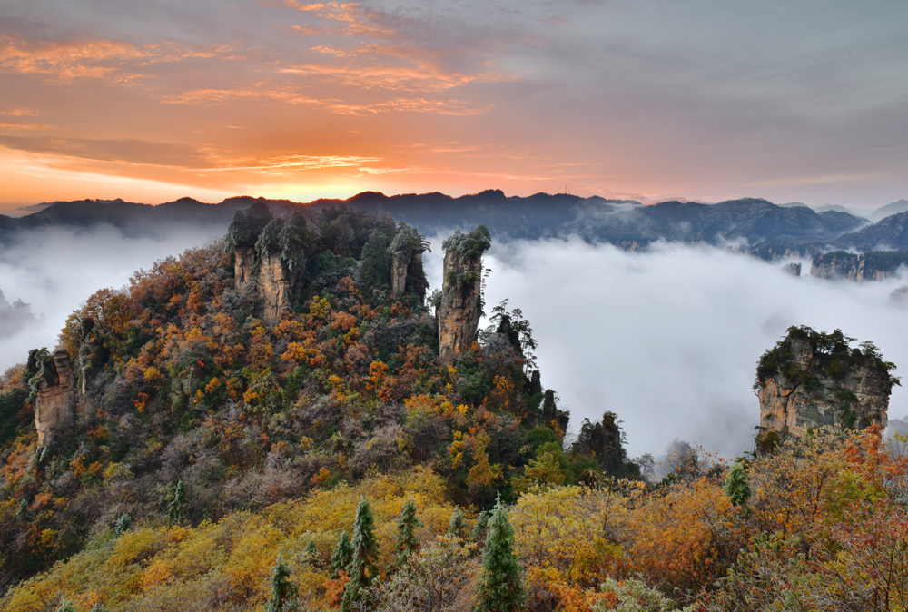 醉美秋景
