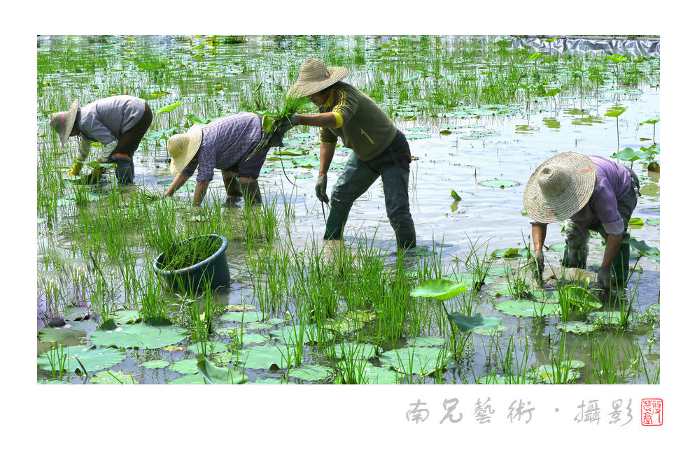 农家闲事