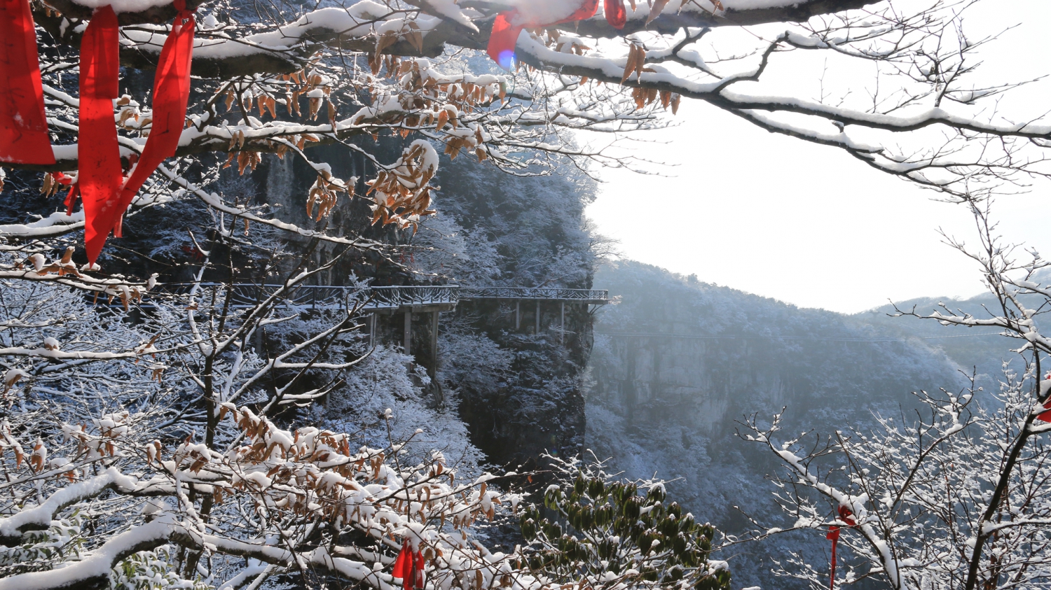 雾凇漫仙山1