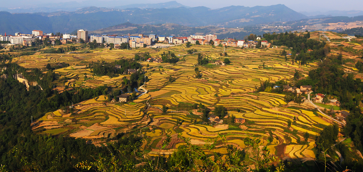 金石梯田