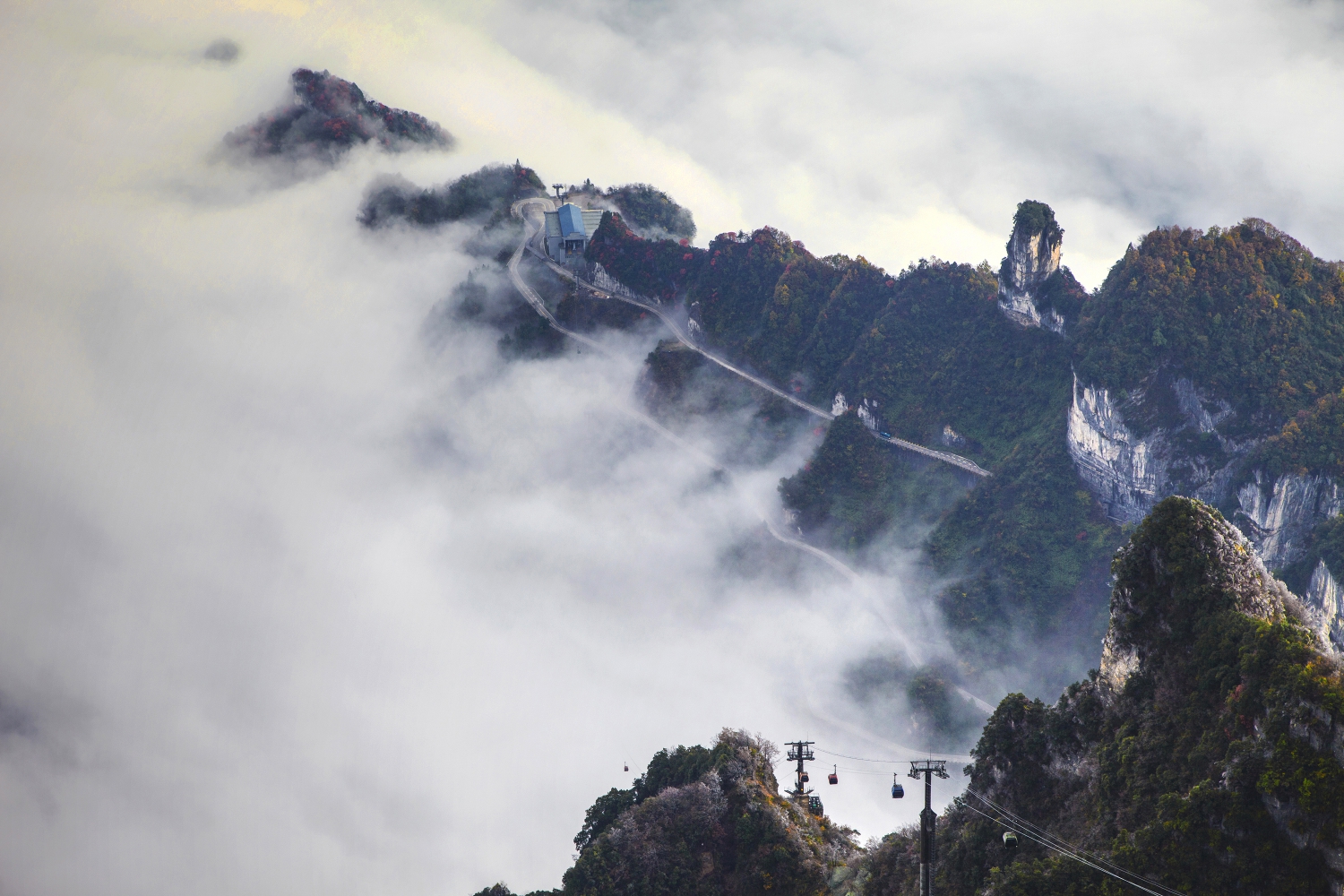 《雾海悬浮露仙山》