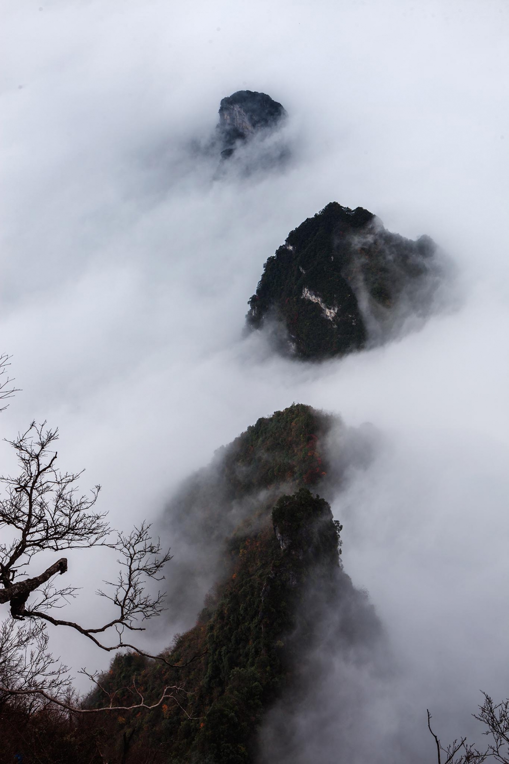 云雾山中