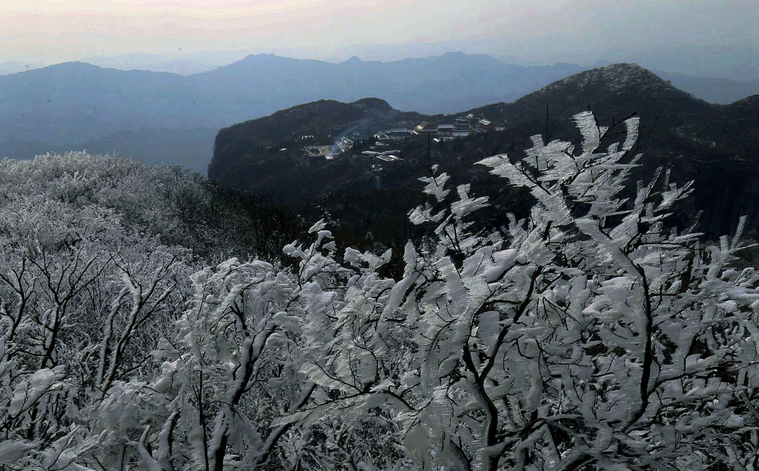 天降冰花