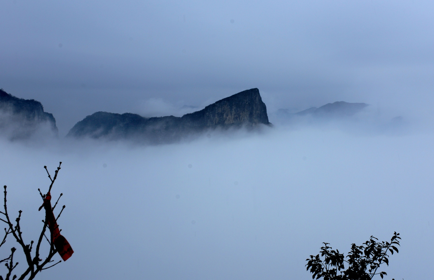 偶露峥嵘