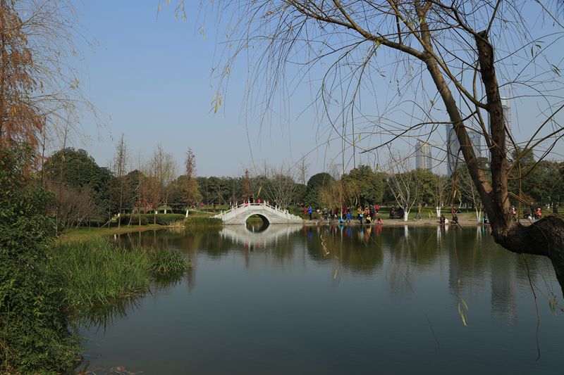 橘子洲头