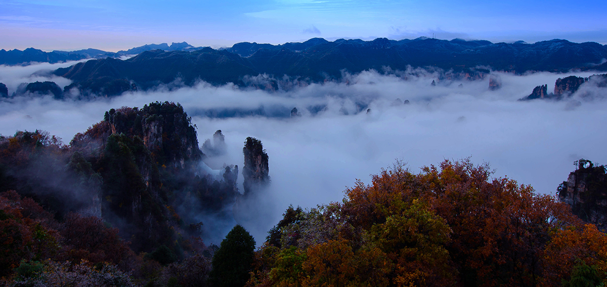 天子山云海