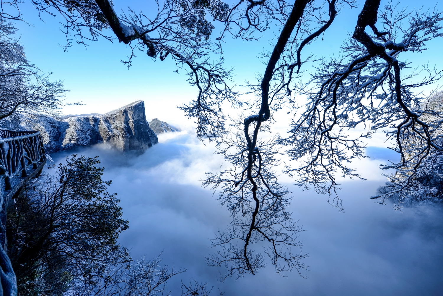 瑞雪
