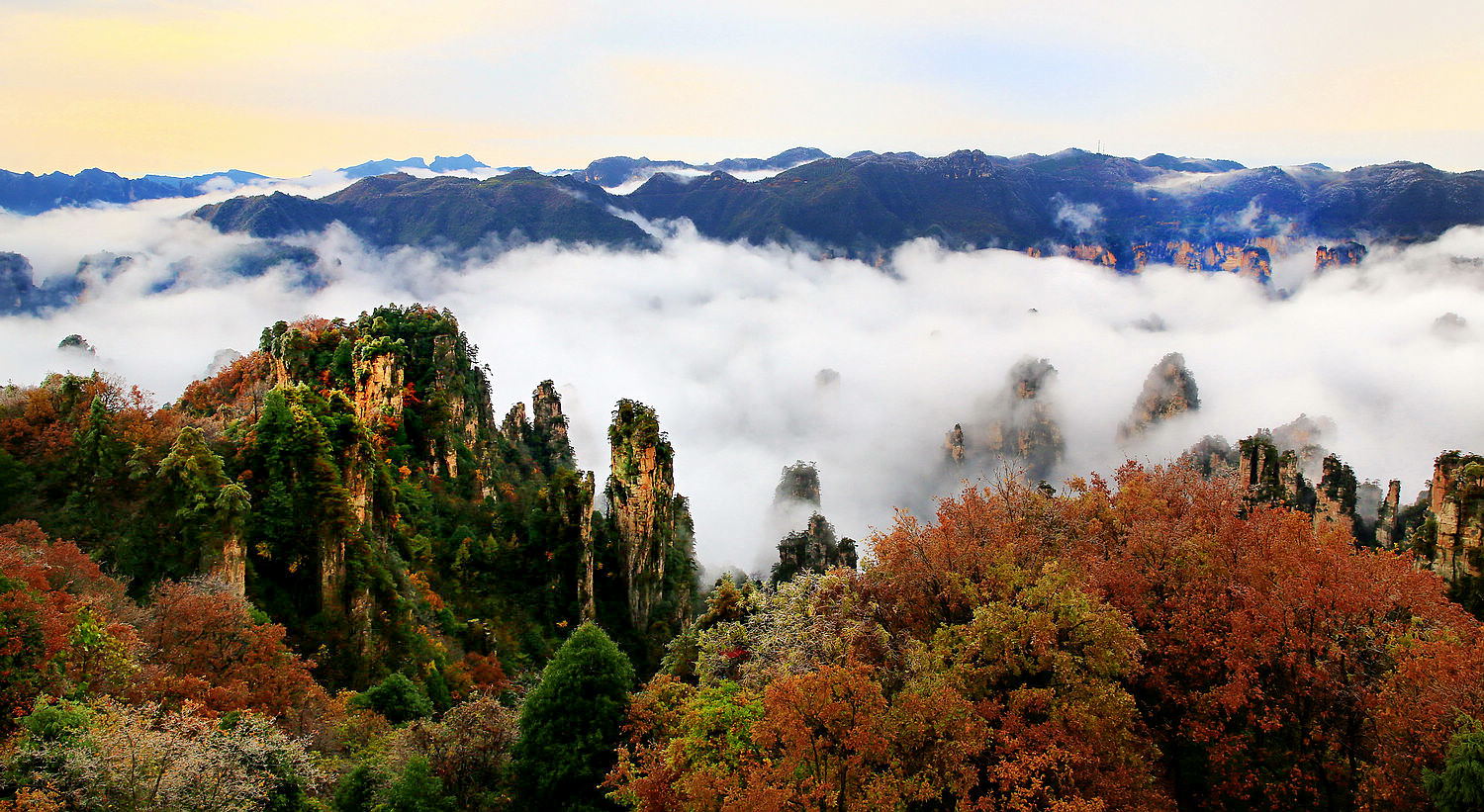 雾漫天子山