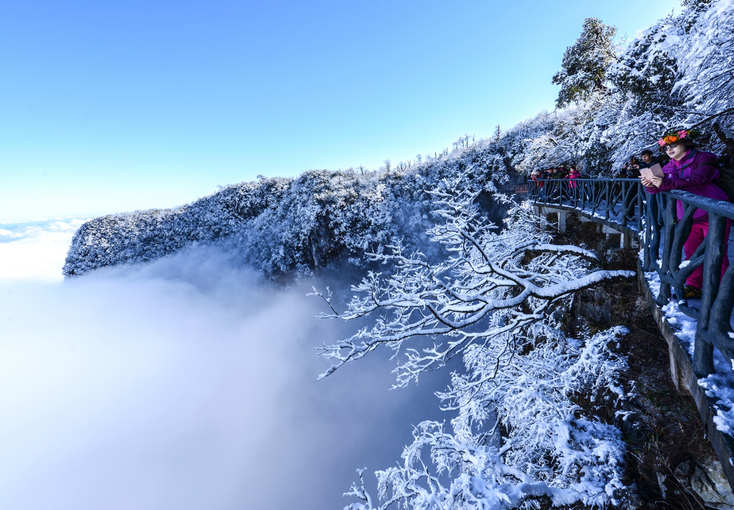 雾淞美景