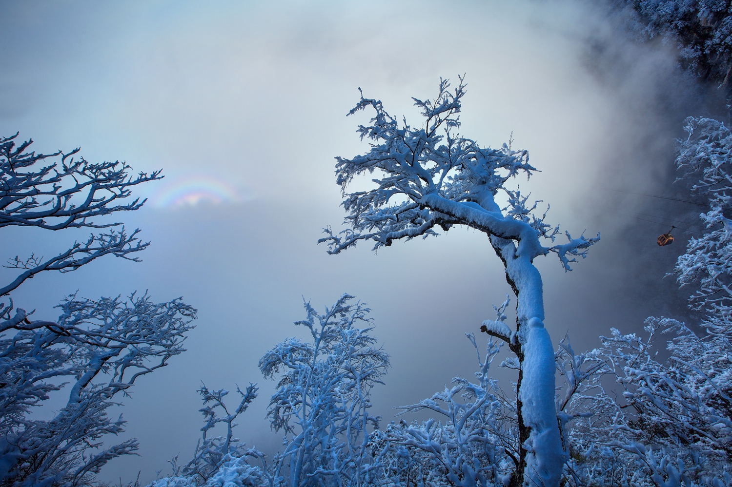 《冰雪童话》