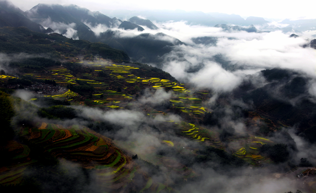 高山春色