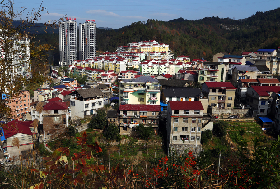 美丽家园