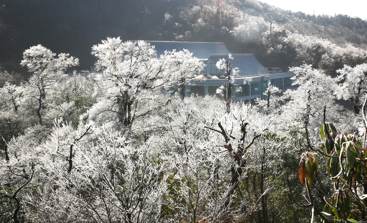雪中人家