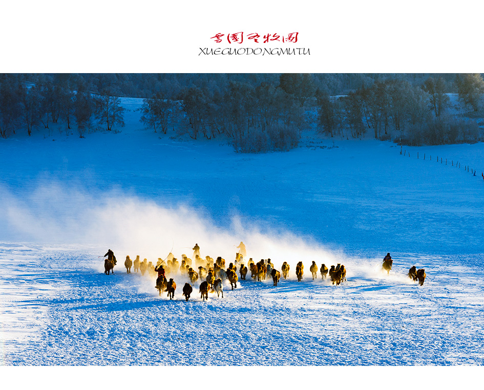 雪国冬牧图