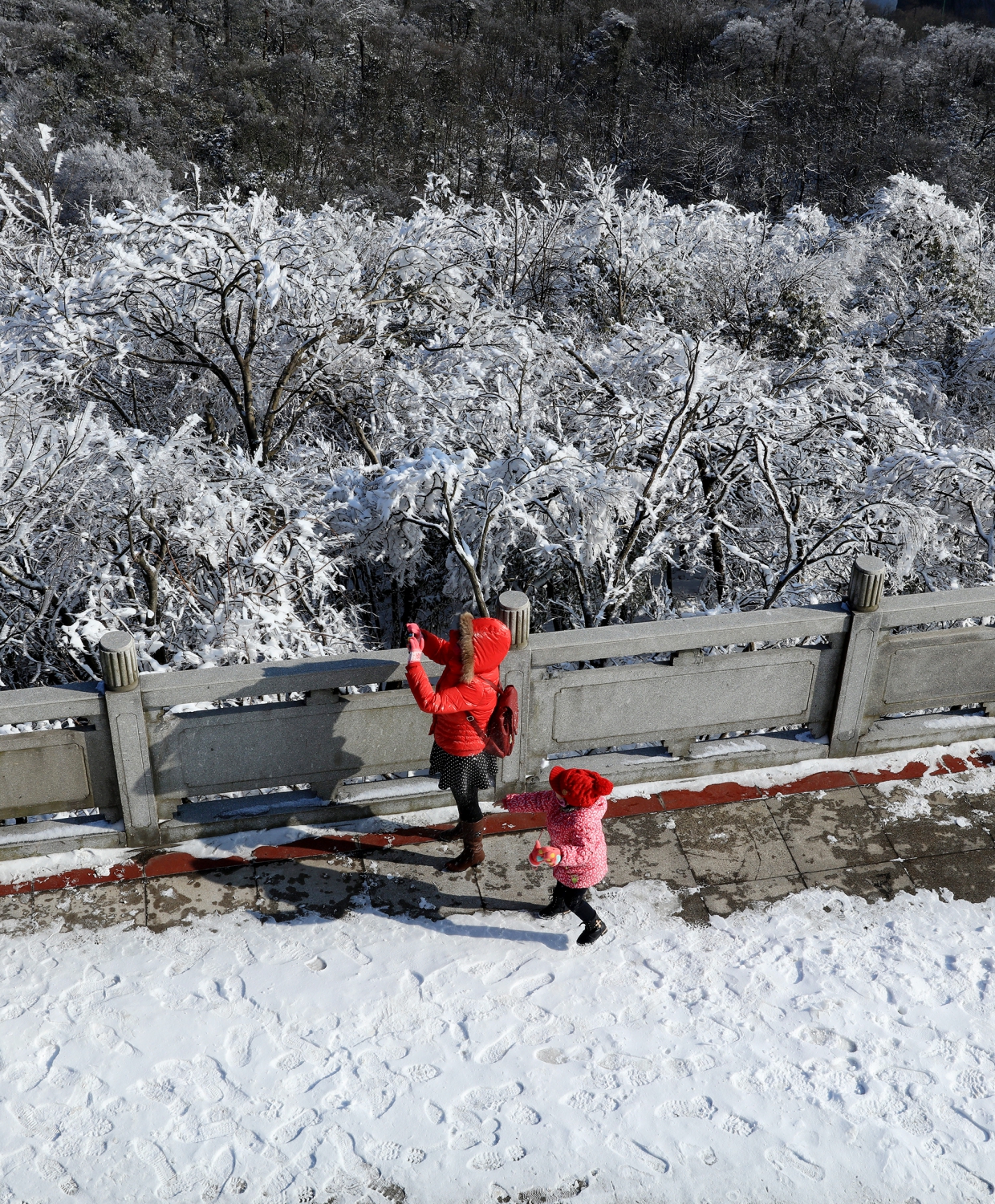雪景太迷人