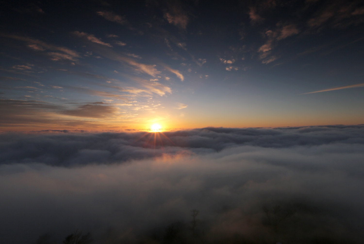    朝霞云海天门山(组图)3