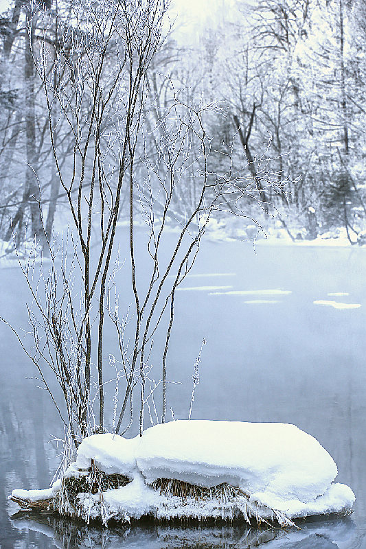 雪龟