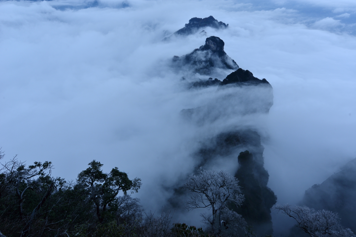 奇山狂雾
