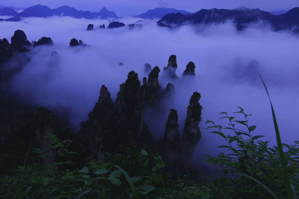 天子山·云海峰林