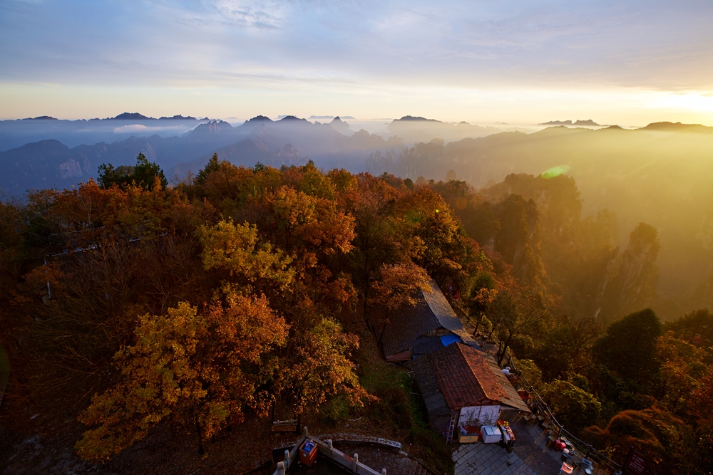 天子山·秋