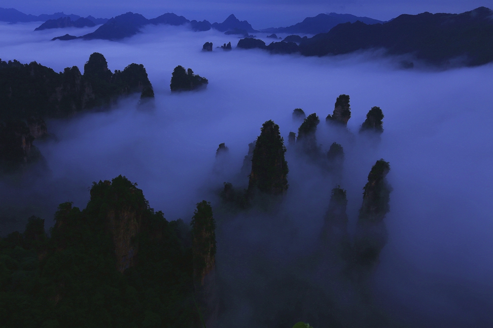 天子山·云海峰林二