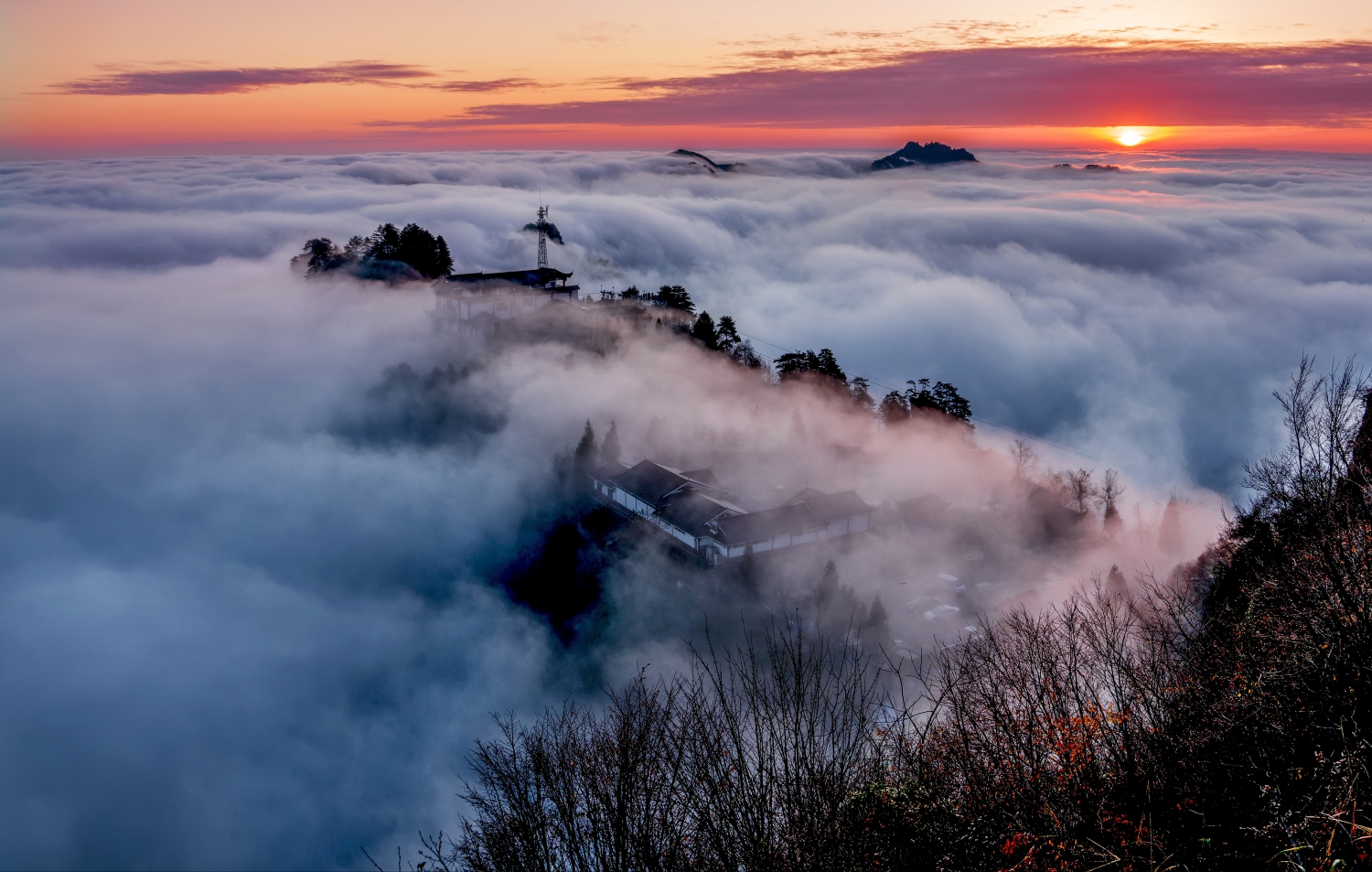 朝霞云海天子山