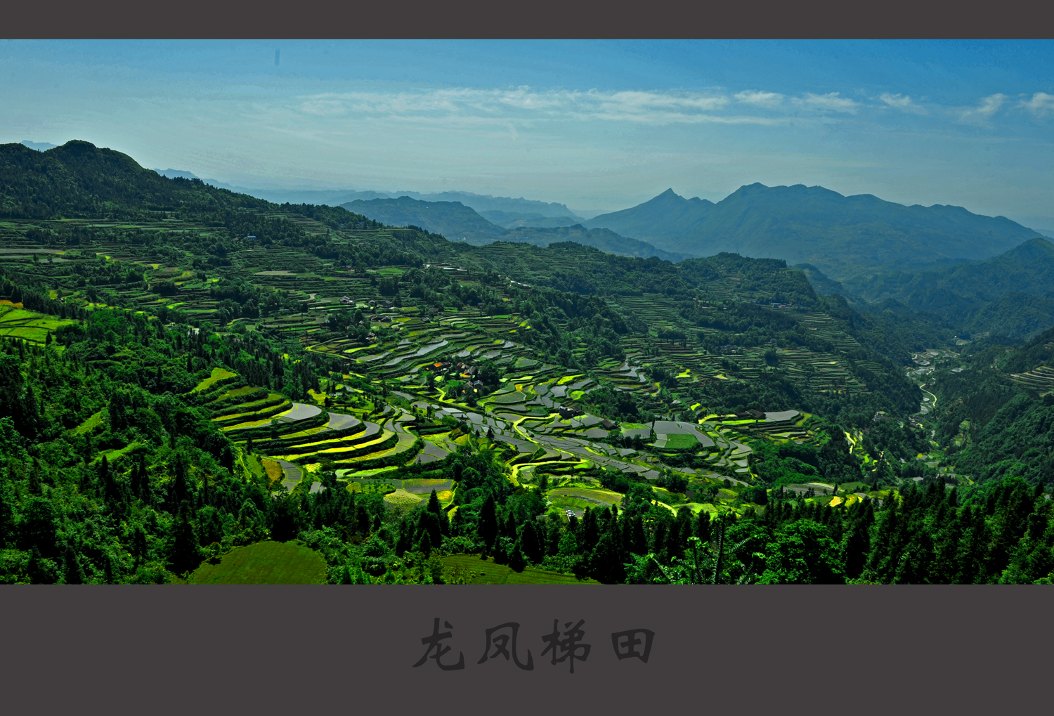 龙凤梯田