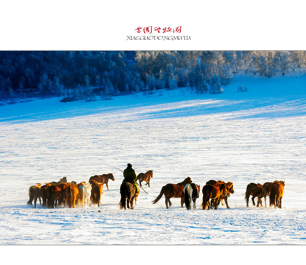 雪国冬牧图（2）