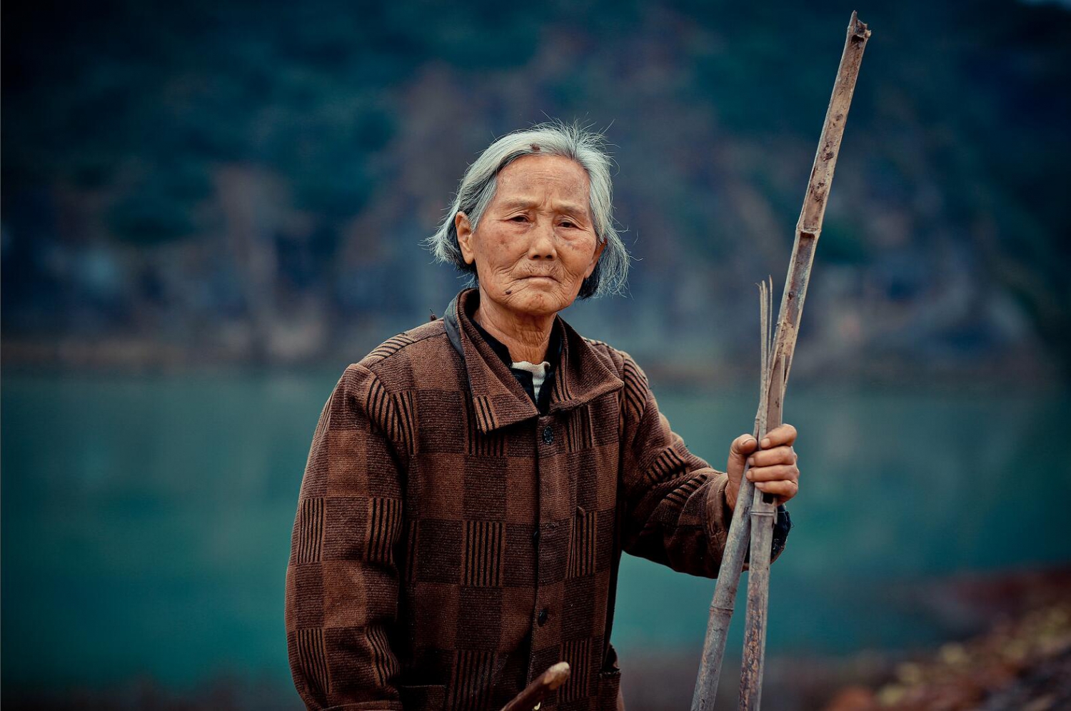 岁月