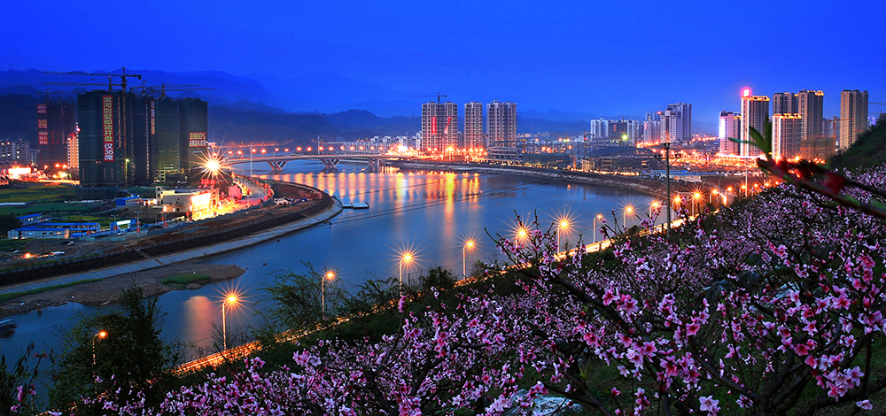 城市花海