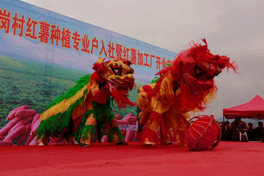 组照5