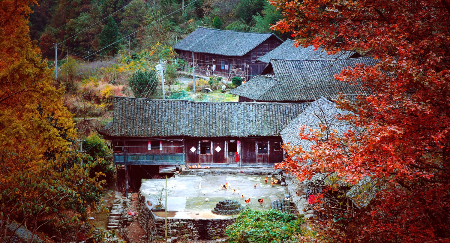 乡村深秋