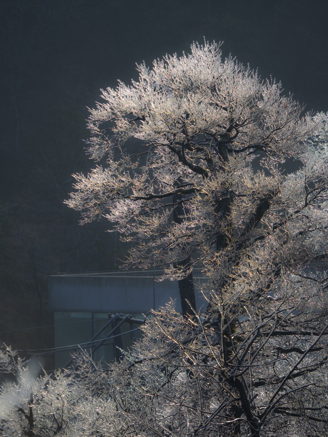 天门山雪景