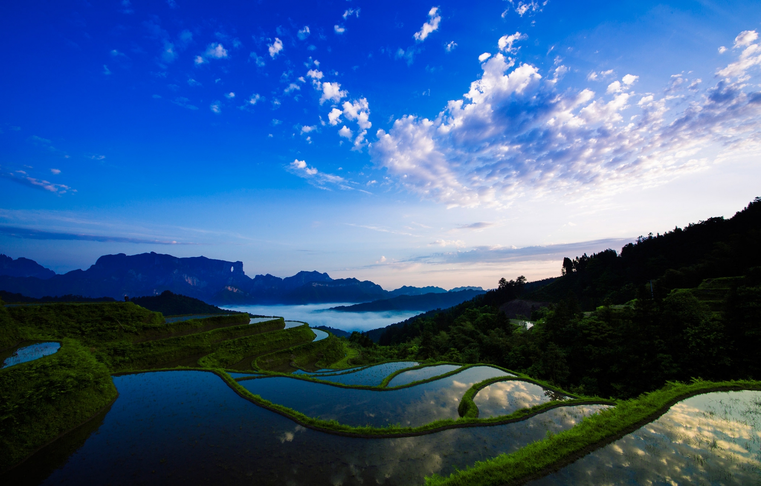 乡村田园