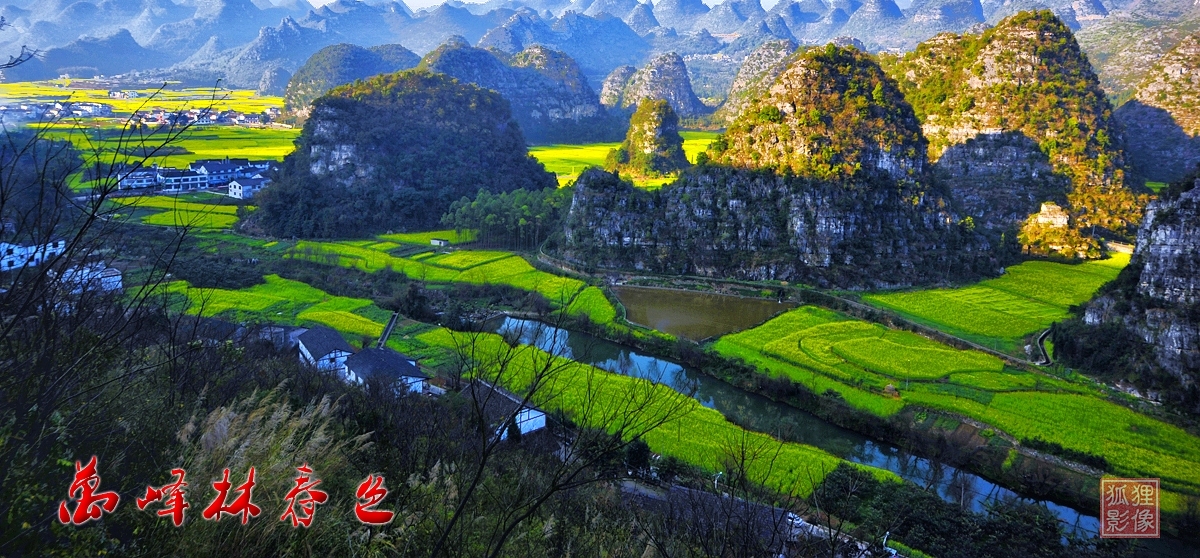 万峰林春色