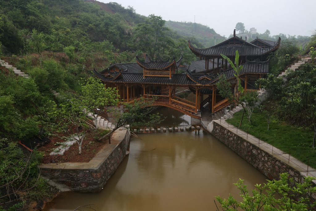 清水湾
