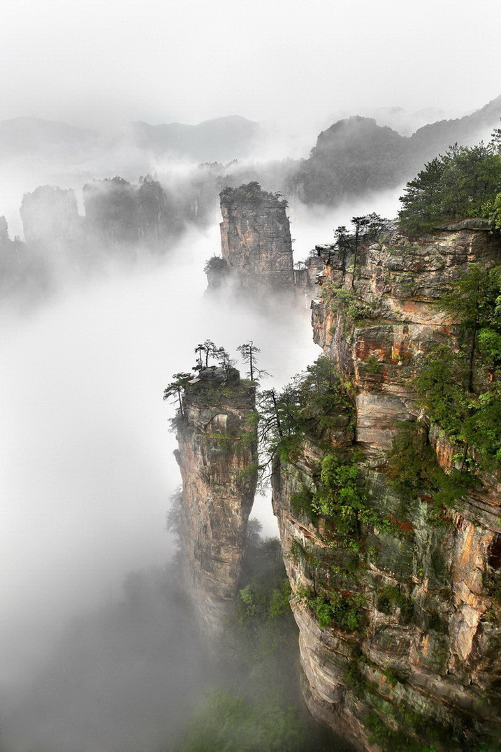 偶露峥嵘