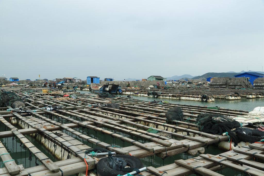 鲍鱼养殖基地