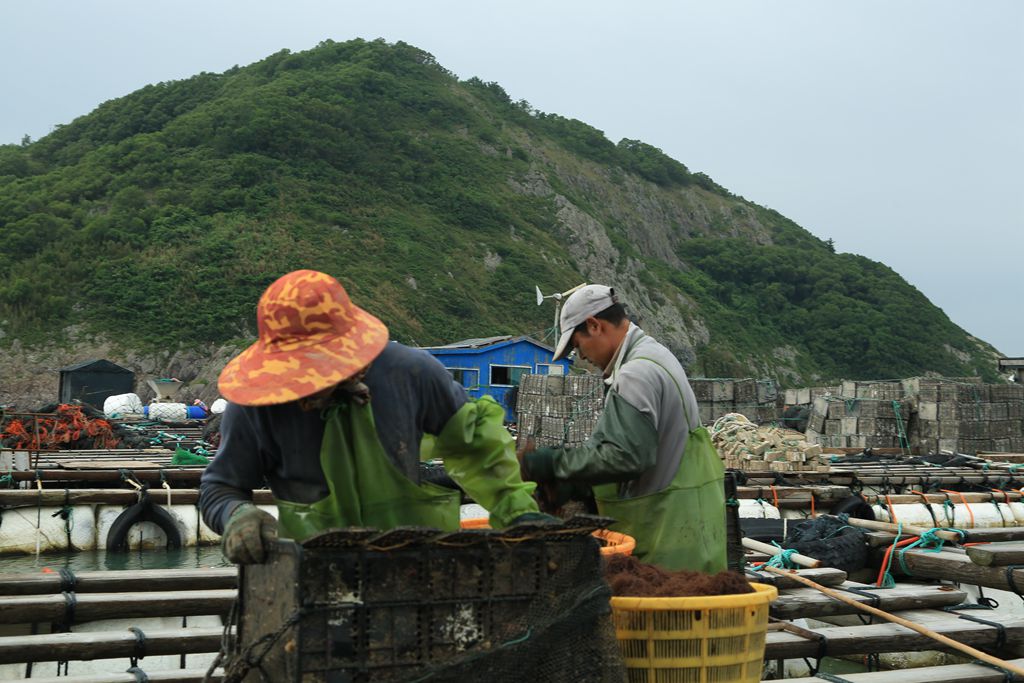 鲍鱼养殖基地