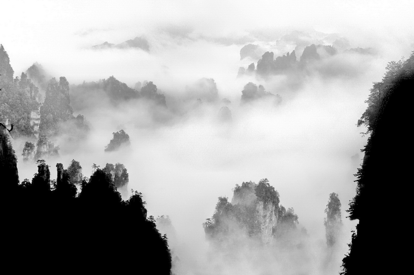 天子山传奇
