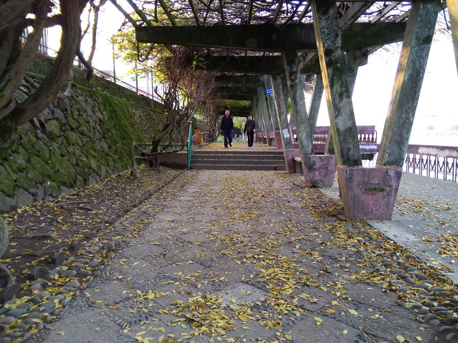 秋韵