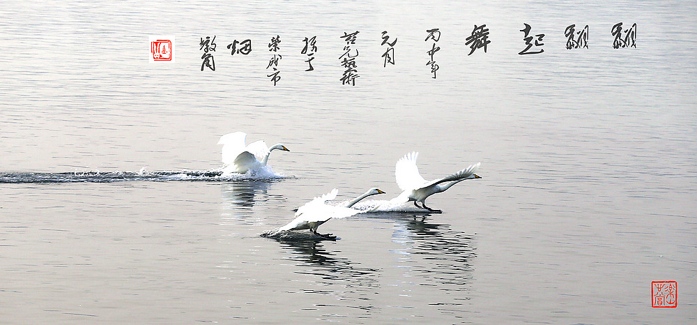 翩翩起舞